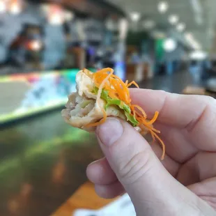 Nomnomnom. Half a gyoza .