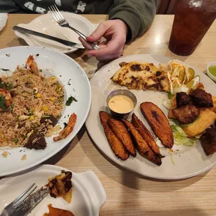 The fried rice and the sampler.