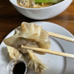  a closeup of a dumpling and a bowl of soup