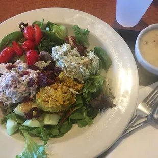 Trio chicken salad and clam chowder