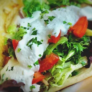 The Gyro Sandwich