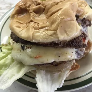 a hamburger on a plate