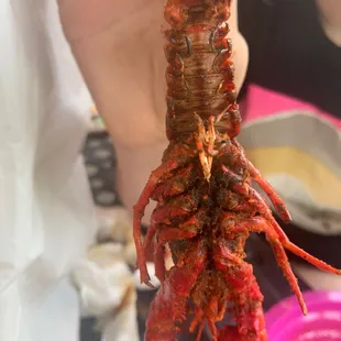 a hand holding a lobster