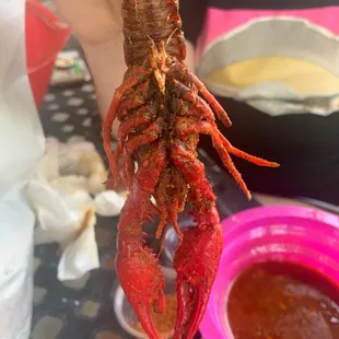 a person holding a lobster