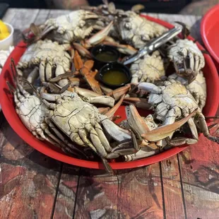 Blue Crab