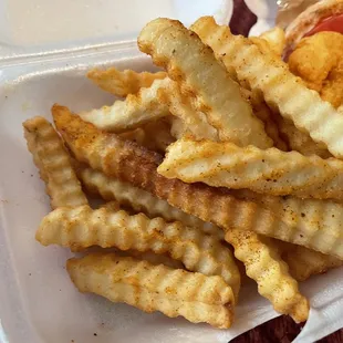 Seasoned Fries