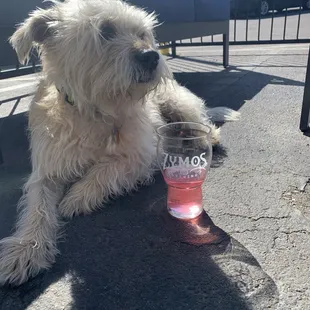 Beautiful day for a sip of seltz at Zymos.