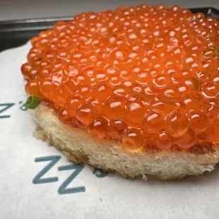 Trout Roe